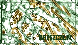 tips common cold aspirn, przeziębienie leczenie grypy, obniżanie temperatuy, udar słonczecny omdlenia przegrzanie, jak leczyć chorobę i być zdrowym
