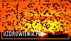 oczewkiwanie na poród film z porodu, pregnancy calendar, birthday new born, zapłodnienia jak zajść w ciążę, jak nosić ciążę zagożenia choroby, poród połóg z mężęm w wodzie