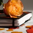 How to Lose Weight Before Your Class Reunion How to Lose Weight Before Your Class Reunion Author: sonia How to Lose Weight Before My Vacation So its vacation time, time to let go of all worries and stresses...