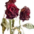 Tips on How to get Romanian dating using the Internet Tips on How to get Romanian dating using the Internet Author: F.J.Yanie Romanian dating sites today help the many Romanian single women and men find their life partners. It is...