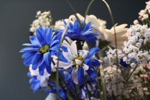 1170026_blue_bouquet